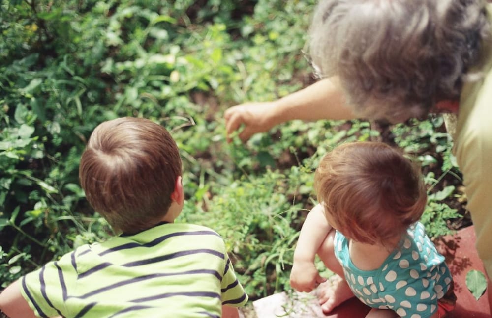 Description de l'image